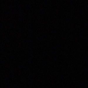 Meet your Posher, George